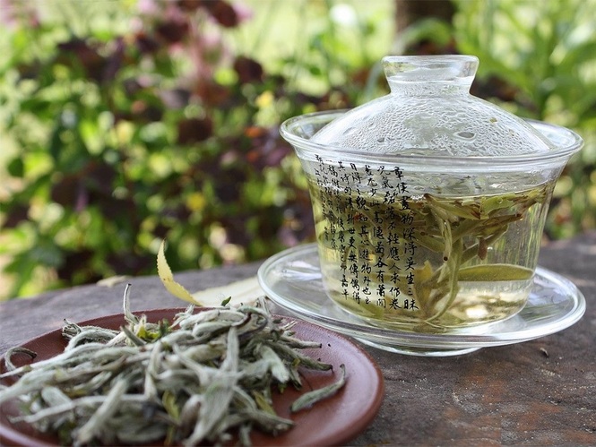 Білий чай являє собою молоде листя і бруньки (тіпси) чайної рослини, які пройшли наймінімальнішу обробку, тому заварюється він при температурі 75-80⁰С