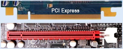 Як правило, відеокарта є платою розширення і вставляється в роз'єм PCI Express x16 (PCIEх16) розташований на материнській платі