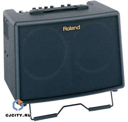 Roland-AC-60